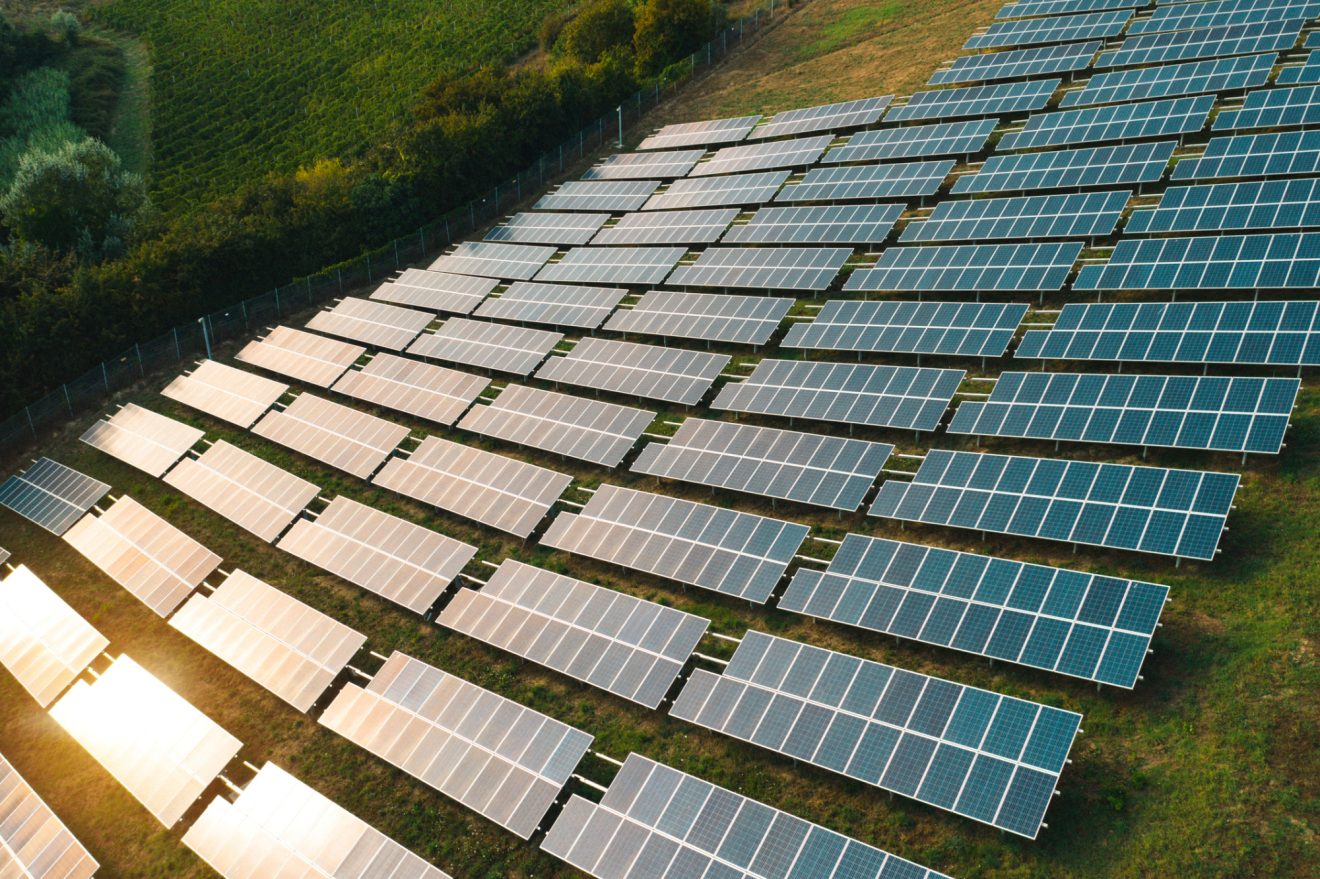 A field of solar panels